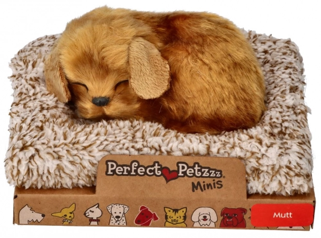 Căţeluş Perfect Petzzz