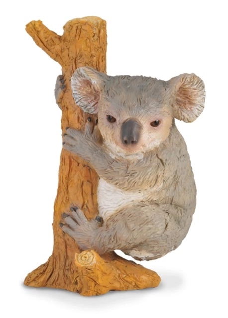 Koala în copac