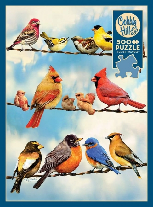 Puzzle Cobble Hill păsări pe fir 500 piese