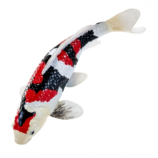 Mojo crap koi showa sanshoku
