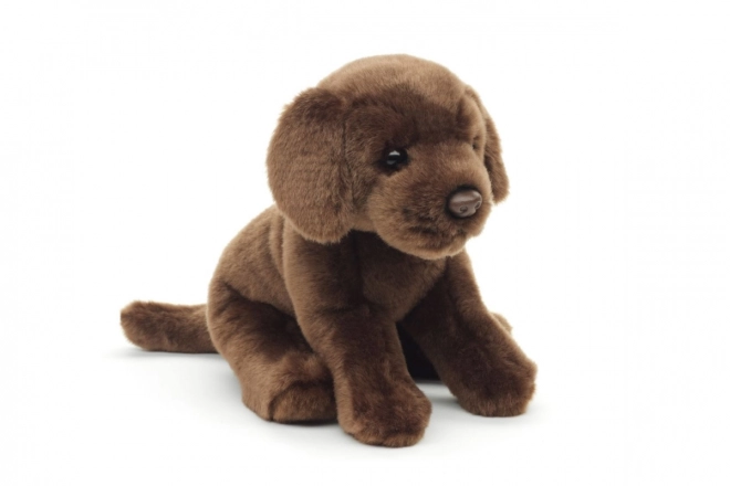 Labrador de pluș ECO-FRIENDLY 30 cm