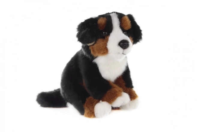 jucărie pluş câine Bernese de 16 cm