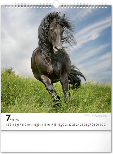 Calendar de perete Cai 2026