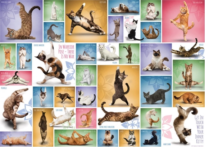 Puzzle Yoga Pisici 1000 de piese