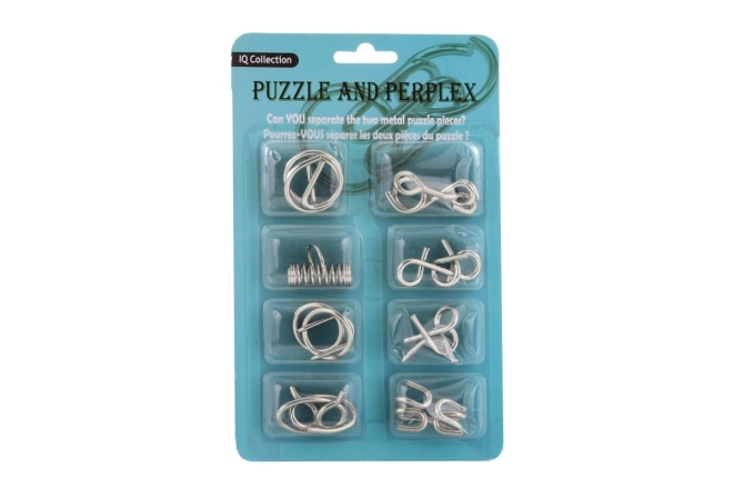 Set de 6 puzzle-uri metalice