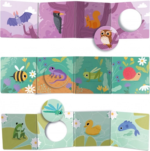 Ferestre interactive și jetoane de inserat