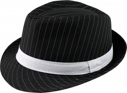 Design pinstripe elegant
