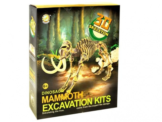 Skelet Mamut Excavare 3D – B