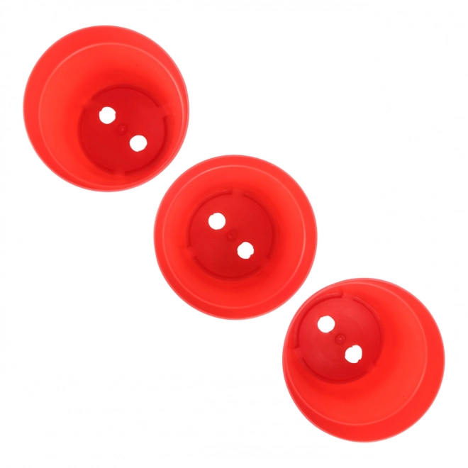 Small Foot Set pentru plantarea plantelor