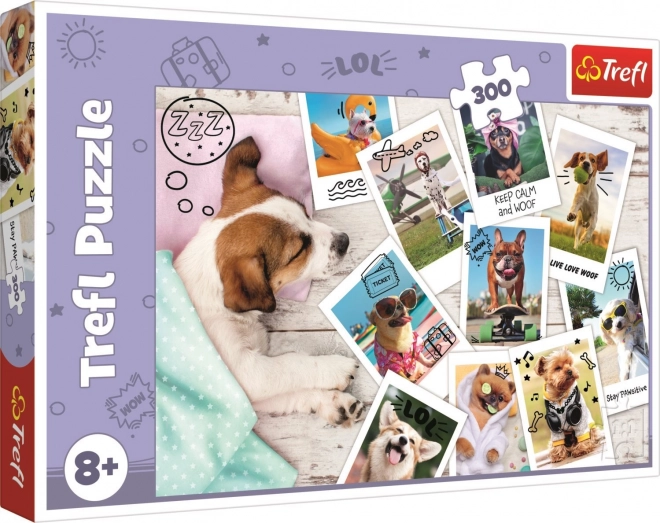 Puzzle de vacanță 300 piese