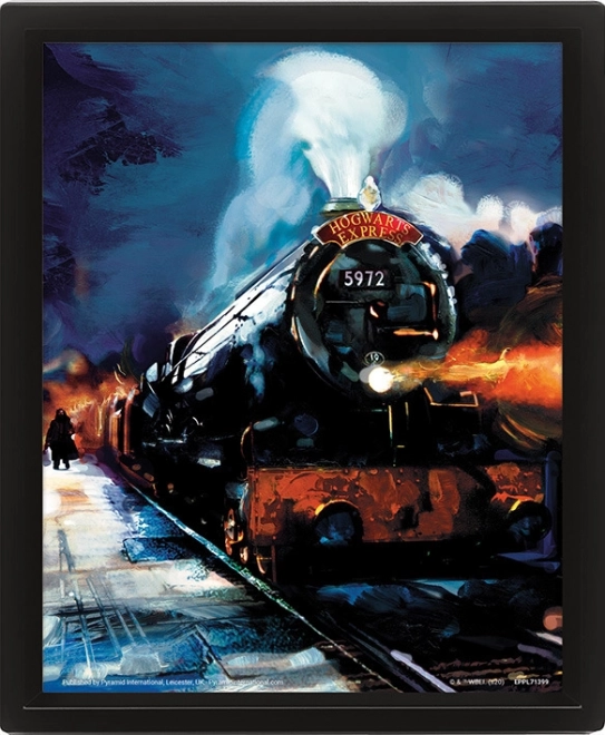 Tablou 3D Harry Potter - Hogwarts Express