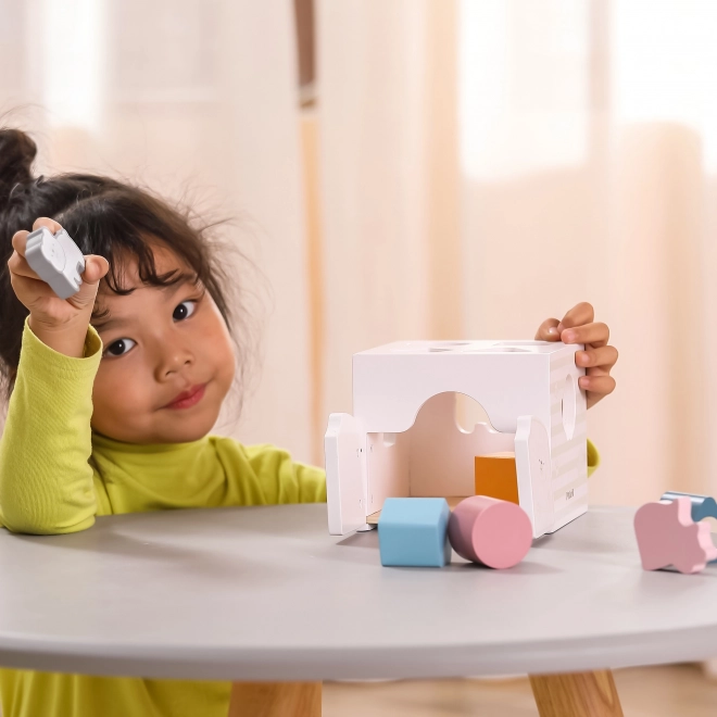 Viga PolarB Sortator educativ cu blocuri Montessori