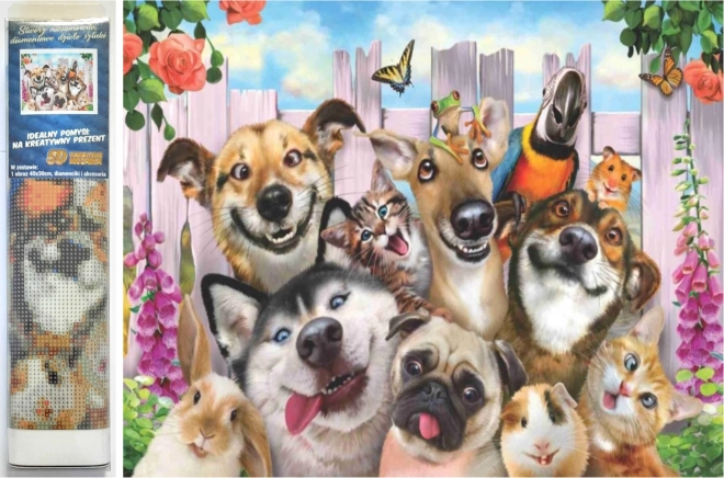 Pictură cu diamante selfie amuzantă 30x40 cm
