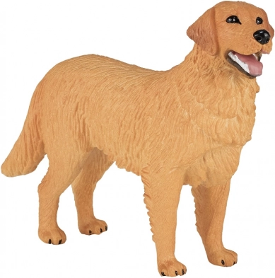 Aspect fidel Golden Retrieverului