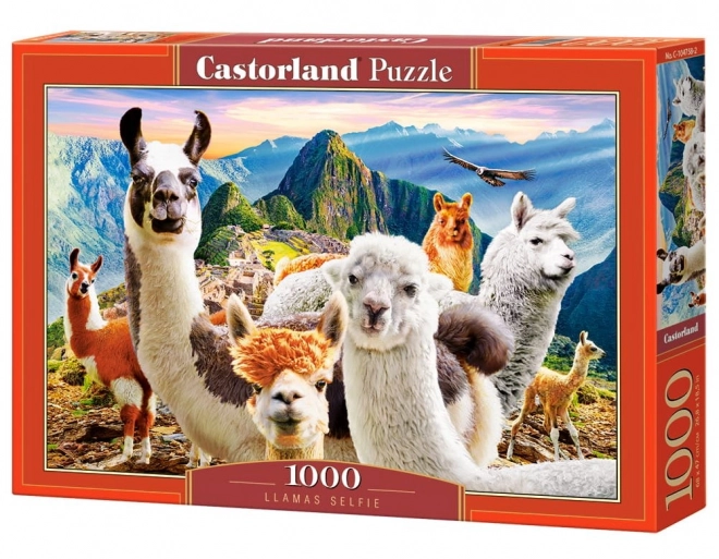 Puzzle Selfie la Machu Picchu 1000 piese