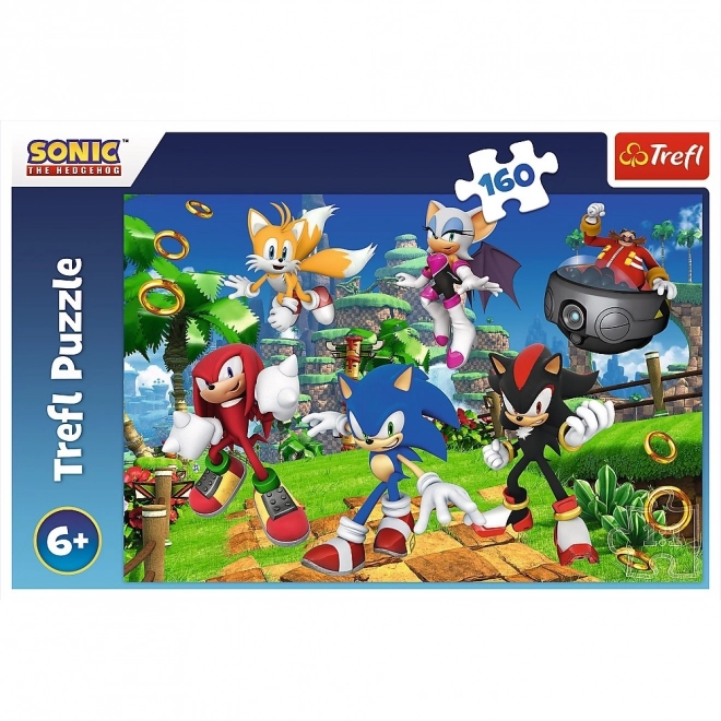 Puzzle 160 piese Sonic și prietenii