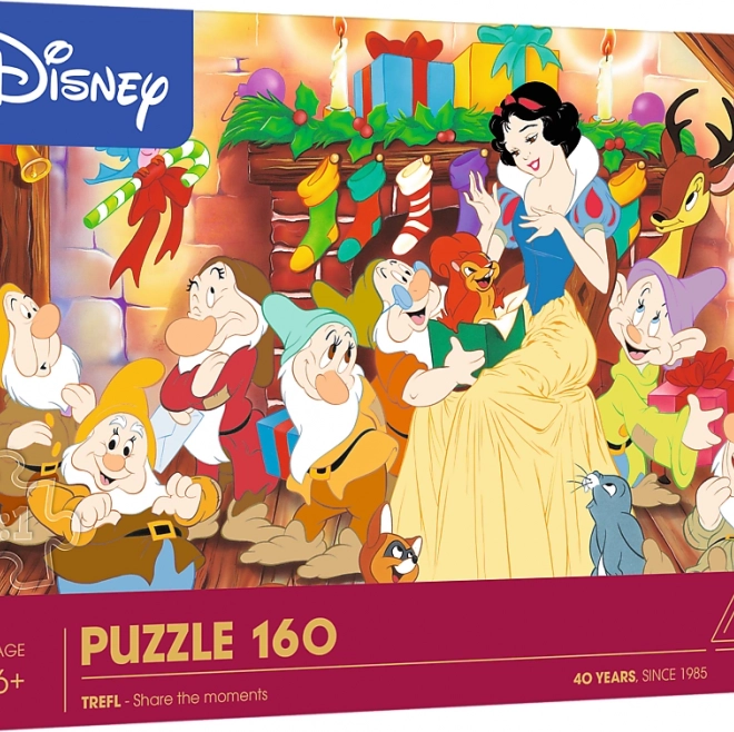 Puzzle Povestile Crăciunului 160 piese