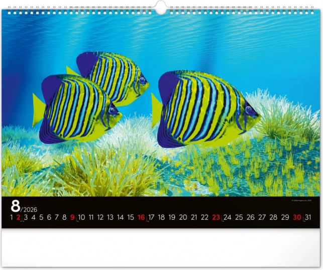 Calendar de perete Lumea subacvatică 2026