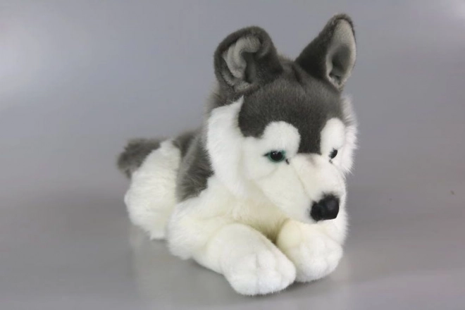 Husky de pluș 43 cm