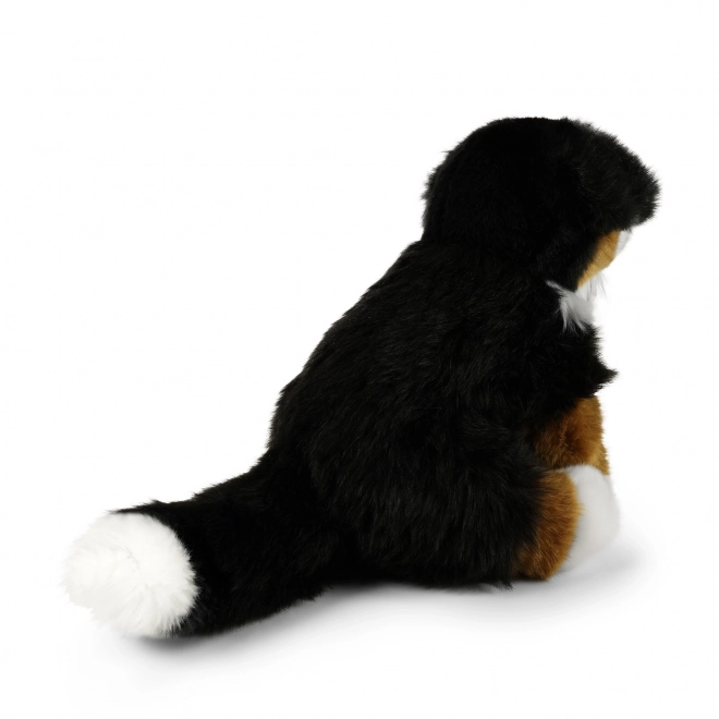 Câine bernard de pluş 28 cm ecologic