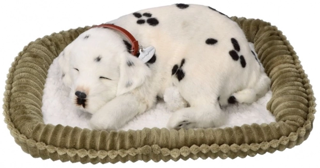 Adoptă un cățeluș Dalmațian respirabil Perfect Petzzz