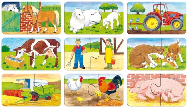 Fermă distractivă: animale și utilaje