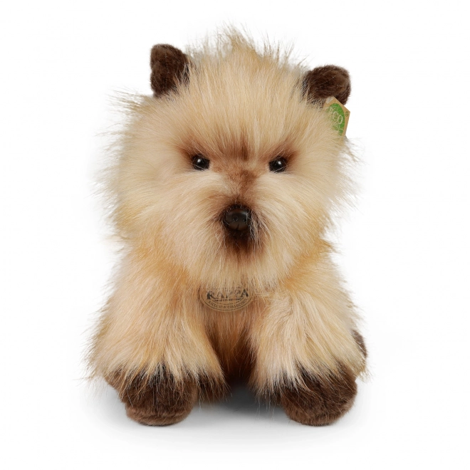 Câine din pluș cairn terrier 30 cm eco-friendly