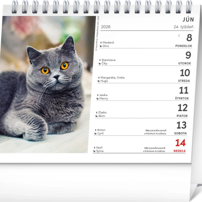 Calendar de birou Pisici 2026 cu nume de pisici