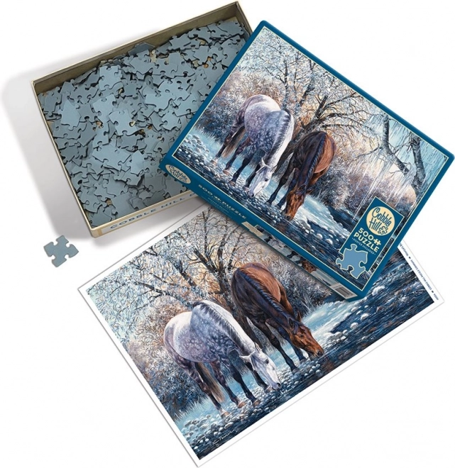 Puzzle Krása Zimii 500 Piese COBBLE HILL