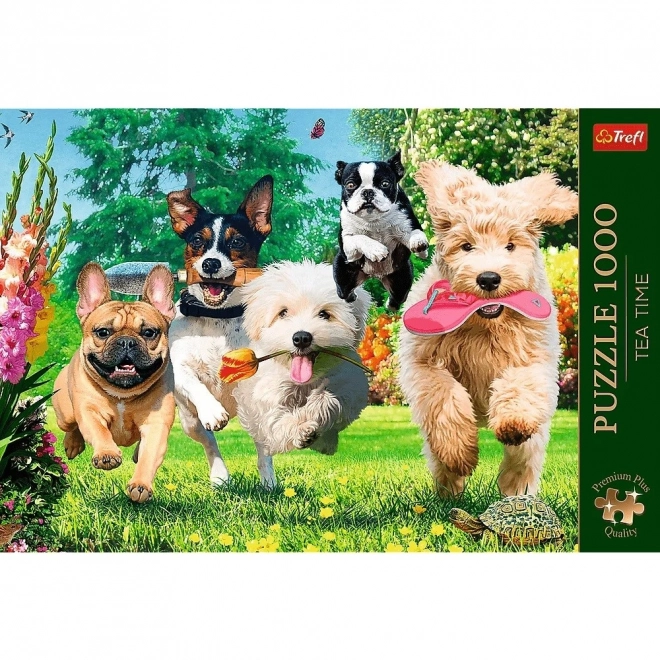 Puzzle 1000 de piese Premium Plus Tea Time venituri necazuri