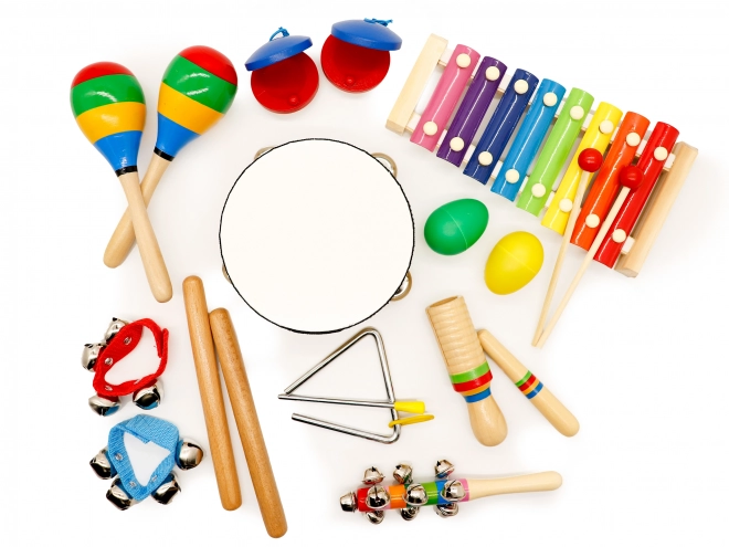 Set de instrumente muzicale pentru copii + rucsac Ecotoys