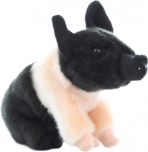 Sigur de la naștere