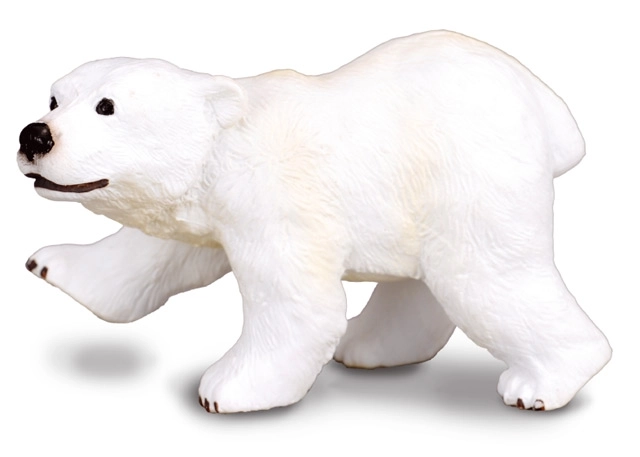 Pui de Urs Polar în Picioare