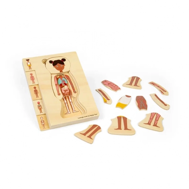 Puzzle din lemn Anatomia fetei