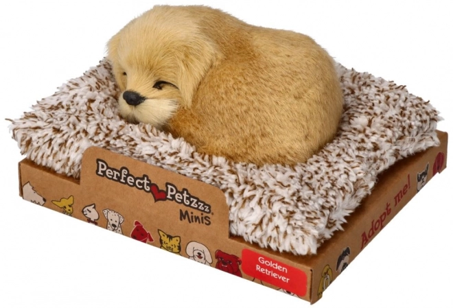 Jucărie Golden Retriever cu sunet