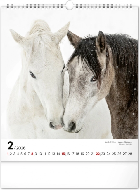 Calendar de perete Cai 2026