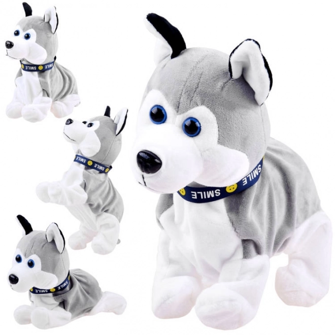 Pui interactiv Husky care reacționează la atingere