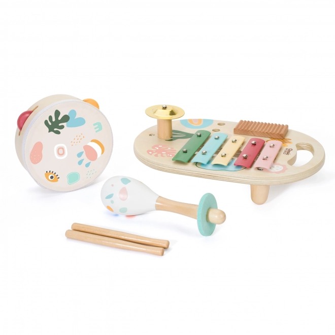 Set instrumente muzicale copii - Classic World