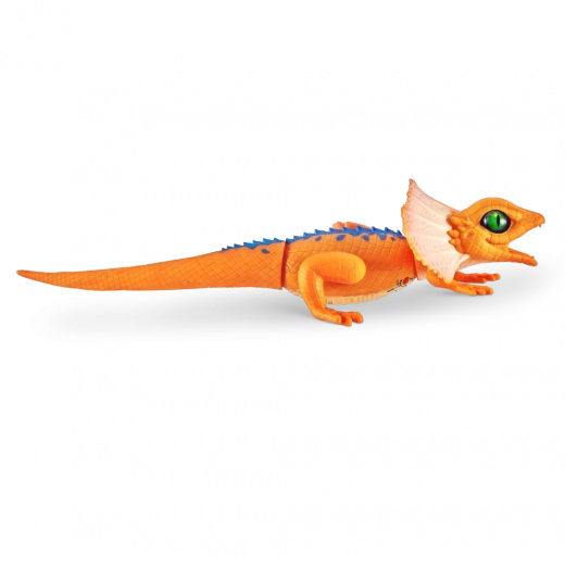 Aspect și culori realiste