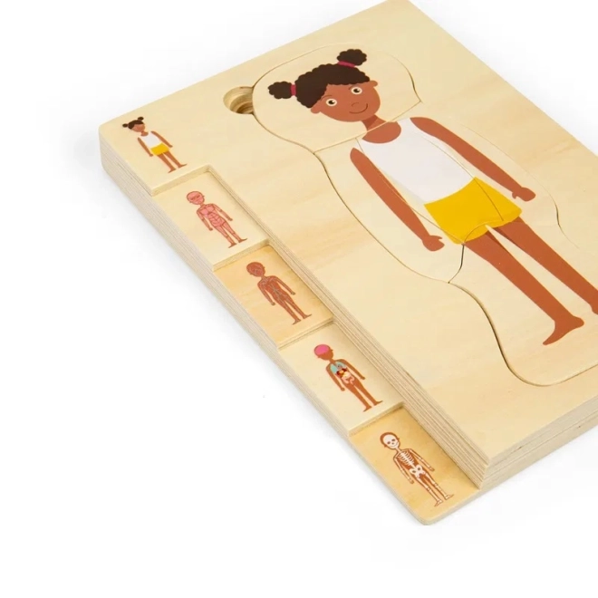 Puzzle din lemn Anatomia fetei