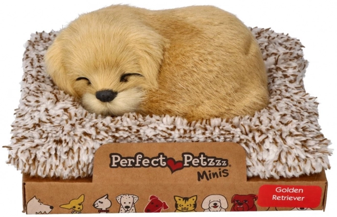 Jucărie Golden Retriever cu sunet