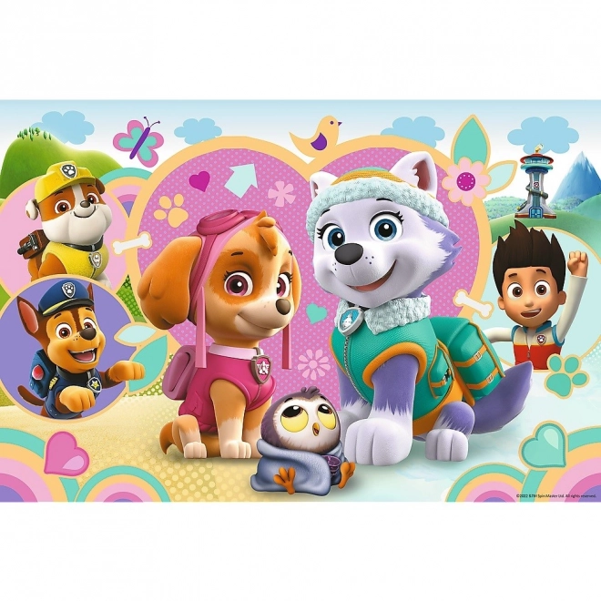 Puzzle glitter 70 de piese cutie Skye și Everest