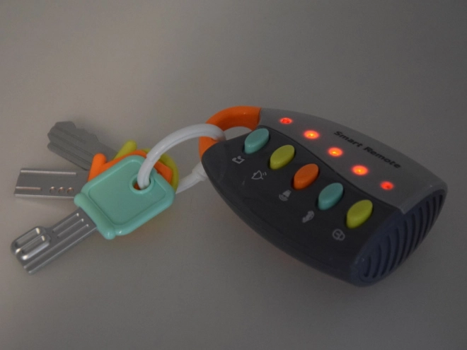 Chei interactive cu telecomandă și melodii
