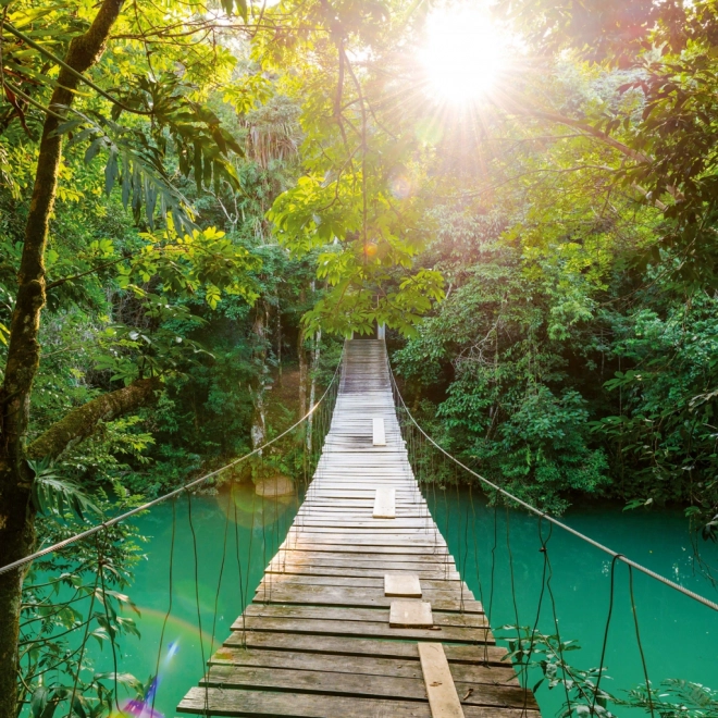 Calendar de notițe Păduri Tropicale 2026