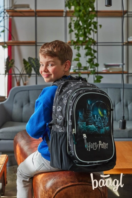 rucsac școlar ergonomică Harry Potter Bradavice