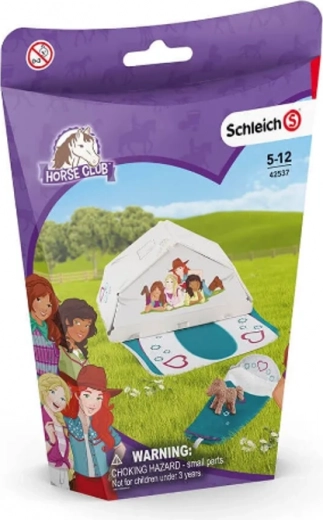 Cort montat într-o clipă