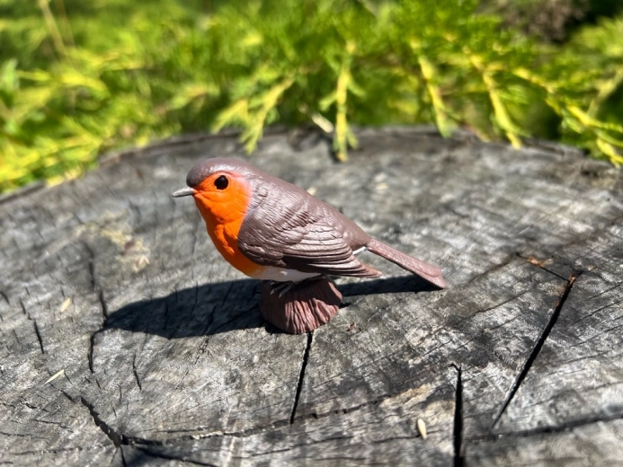 Decorațiune și instrument educativ