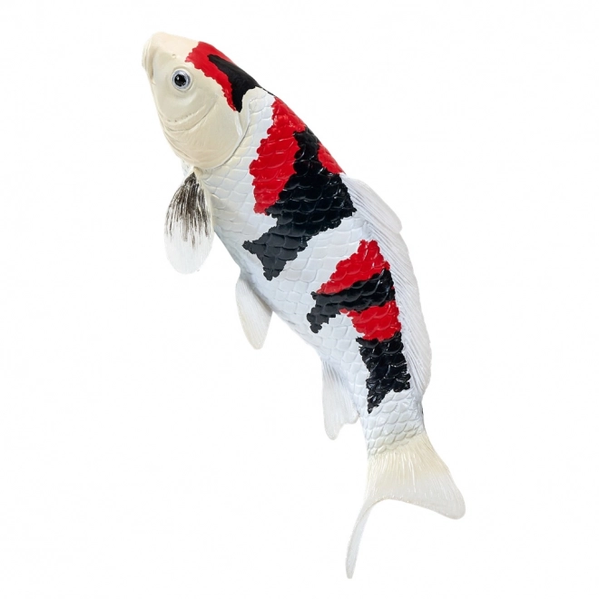 Mojo crap koi showa sanshoku