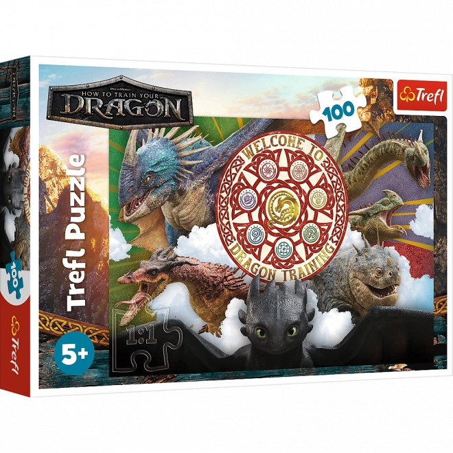 Puzzle 100 piese Dragoni în acțiune