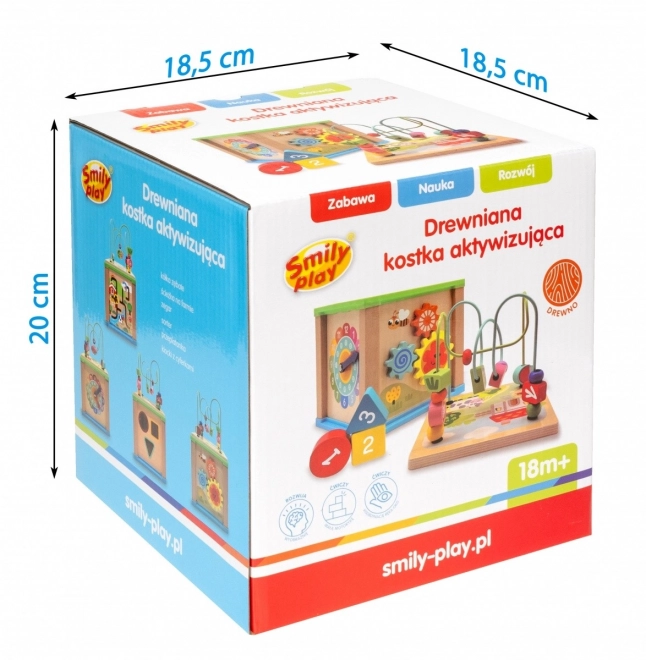 Cub activități din lemn 5 în 1